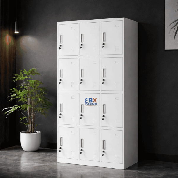 12 Locker Metallic Cabinet(EBX-CAB-013)