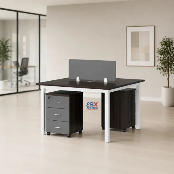 Two-Way Workstation(EBX-WS-013)