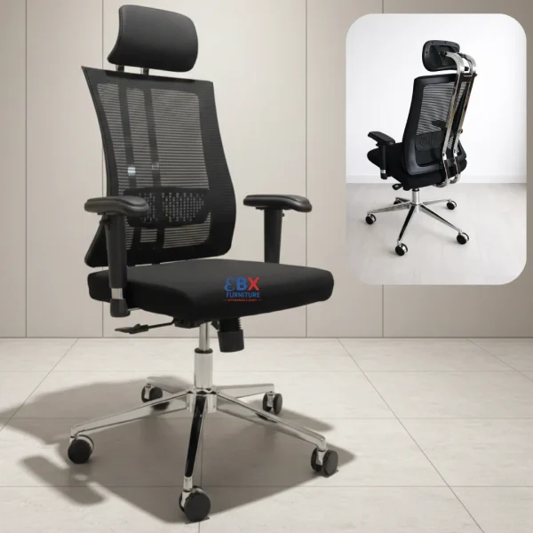 Orthopedic Executive Chair(EBX-ORT-004)