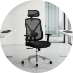 Ergonomic Chairs